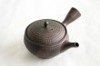 Photo1: Tokoname Japanese tea pot kyusu Gyokko pottery tea strainer youhen biri hi 250ml (1)