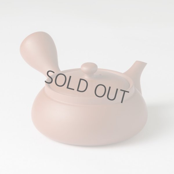 Photo13: Tokoname tea pot kyusu Jinsui Kiwami shudei red biku flat shape small 120ml (13)