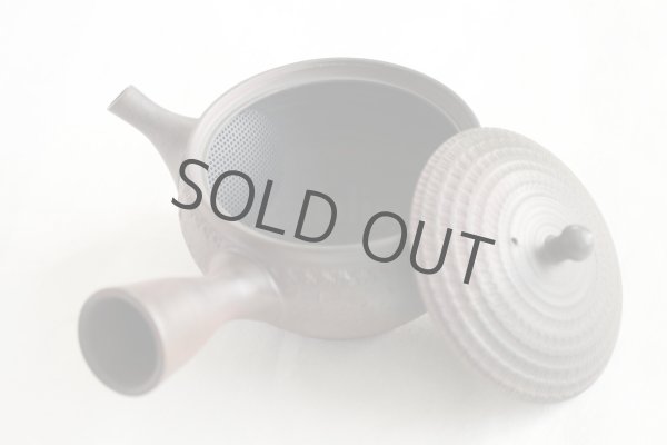 Photo5: Tokoname Japanese tea pot kyusu Gyokko pottery tea strainer youhen biri hi 250ml (5)