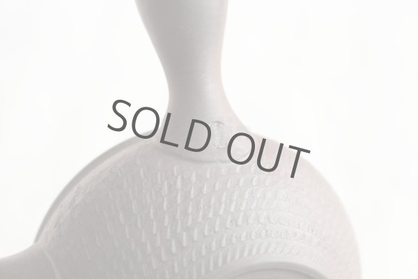Photo3: Tokoname Japanese tea pot kyusu Gyokko pottery tea strainer youhen biri hi 250ml (3)