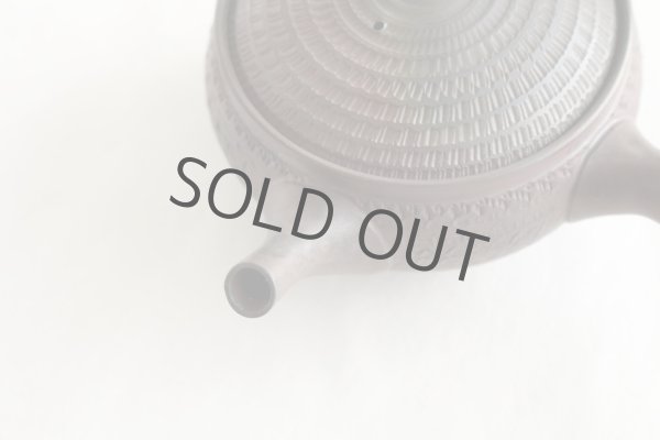 Photo2: Tokoname Japanese tea pot kyusu Gyokko pottery tea strainer youhen biri hi 250ml (2)