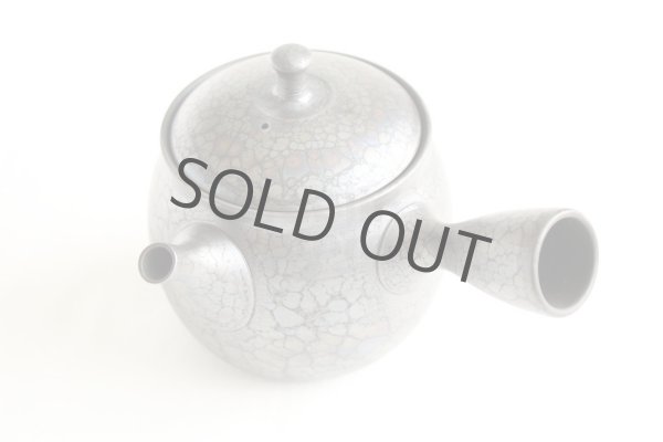 Photo12: Tokoname ware Japanese tea pot kyusu ceramic strainer YT Shoryu tenmoku 270ml (12)