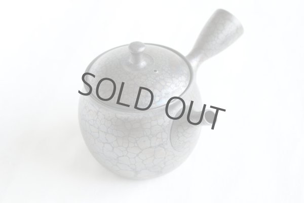 Photo10: Tokoname ware Japanese tea pot kyusu ceramic strainer YT Shoryu tenmoku 270ml (10)