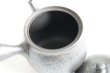 Photo5: Tokoname ware Japanese tea pot kyusu ceramic strainer YT Shoryu tenmoku 270ml (5)