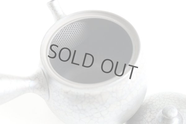 Photo5: Tokoname ware Japanese tea pot kyusu ceramic strainer YT Shoryu tenmoku 270ml (5)