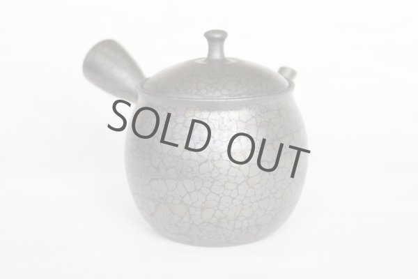 Photo4: Tokoname ware Japanese tea pot kyusu ceramic strainer YT Shoryu tenmoku 270ml (4)