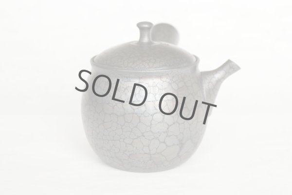 Photo3: Tokoname ware Japanese tea pot kyusu ceramic strainer YT Shoryu tenmoku 270ml (3)