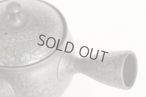 Photo2: Tokoname ware Japanese tea pot kyusu ceramic strainer YT Shoryu tenmoku 270ml (2)