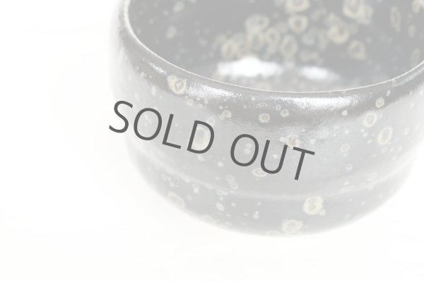 Photo6: Mino ware Japanese pottery matcha chawan tea bowl toga kamahen mizu (6)