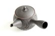 Photo8: Tokoname ware Japanese tea pot kyusu ceramic strainer YT Sekiryu notanaga 300ml (8)