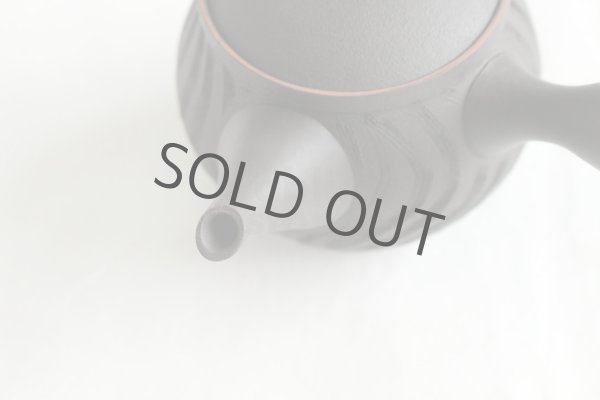 Photo4: Tokoname ware Japanese tea pot kyusu ceramic strainer YT Sekiryu notanaga 300ml (4)