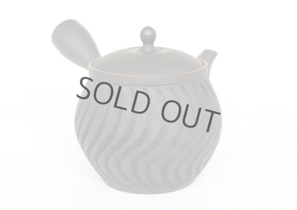 Photo3: Tokoname ware Japanese tea pot kyusu ceramic strainer YT Sekiryu notanaga 300ml (3)