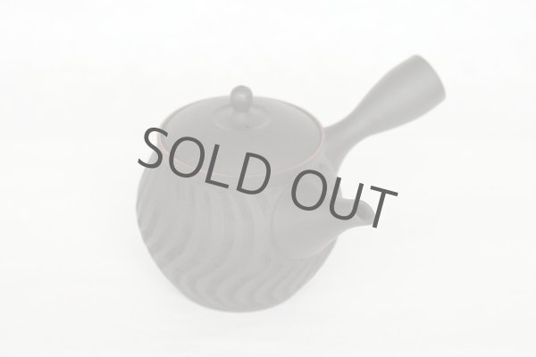 Photo9: Tokoname ware Japanese tea pot kyusu ceramic strainer YT Sekiryu notanaga 300ml (9)