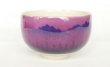 Photo5: Kutani porcelain Japanese Matcha chawan tea bowl forest mountains yon (5)