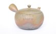 Photo8: Tokoname ware Japanese tea pot Gyokko ceramic tea strainer yakishime maru 330ml (8)