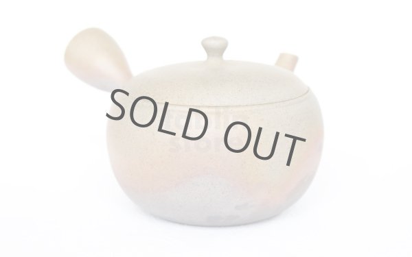 Photo8: Tokoname ware Japanese tea pot Gyokko ceramic tea strainer yakishime maru 330ml (8)