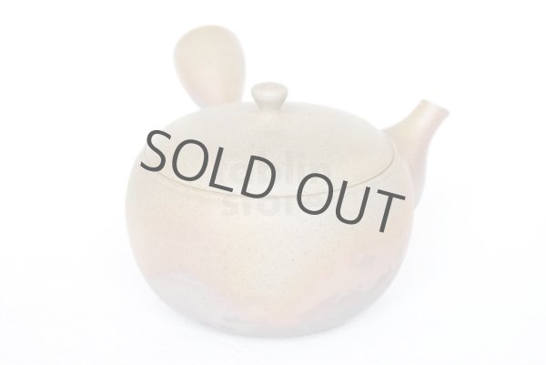 Photo2: Tokoname ware Japanese tea pot Gyokko ceramic tea strainer yakishime maru 330ml (2)