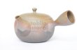 Photo3: Tokoname ware Japanese tea pot Gyokko ceramic tea strainer yakishime maru 330ml (3)