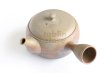 Photo9: Tokoname ware Japanese tea pot Gyokko ceramic tea strainer yakishime maru 330ml (9)