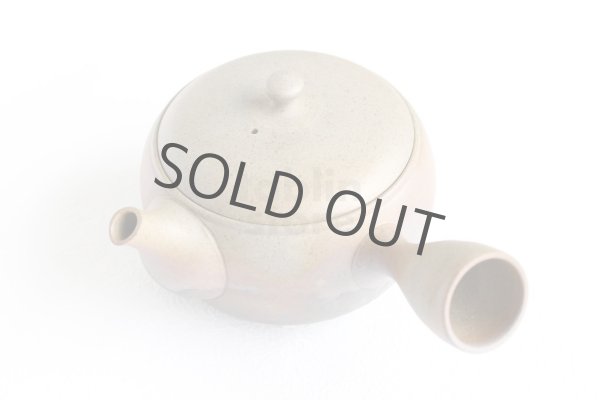 Photo9: Tokoname ware Japanese tea pot Gyokko ceramic tea strainer yakishime maru 330ml (9)