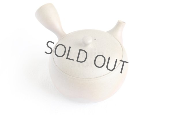 Photo7: Tokoname ware Japanese tea pot Gyokko ceramic tea strainer yakishime maru 330ml (7)