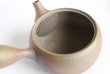 Photo6: Tokoname ware Japanese tea pot Gyokko ceramic tea strainer yakishime maru 330ml (6)