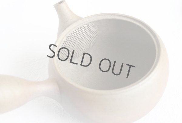 Photo6: Tokoname ware Japanese tea pot Gyokko ceramic tea strainer yakishime maru 330ml (6)