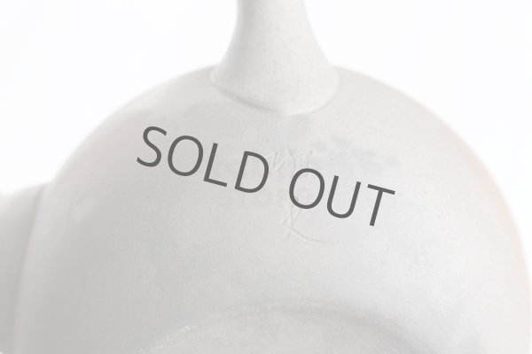 Photo4: Tokoname ware Japanese tea pot Gyokko ceramic tea strainer yakishime maru 330ml (4)