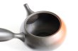 Photo4: Tokoname ware Japanese tea pot kyusu ceramic strainer YT Hokuryu shuma 320ml (4)