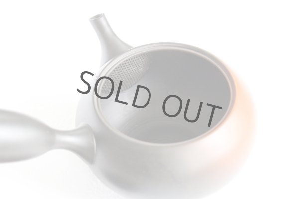 Photo4: Tokoname ware Japanese tea pot kyusu ceramic strainer YT Hokuryu shuma 320ml (4)
