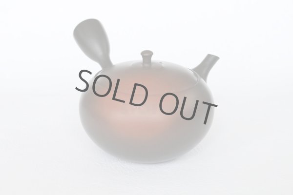 Photo8: Tokoname ware Japanese tea pot kyusu ceramic strainer YT Hokuryu shuma 320ml (8)