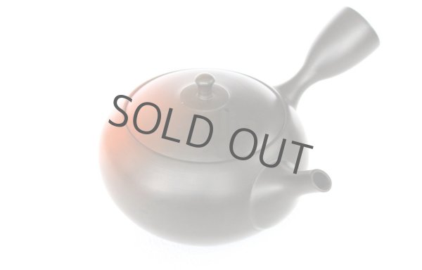 Photo9: Tokoname ware Japanese tea pot kyusu ceramic strainer YT Hokuryu shuma 320ml (9)