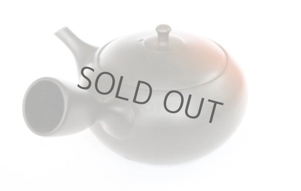 Photo10: Tokoname ware Japanese tea pot kyusu ceramic strainer YT Hokuryu shuma 320ml (10)