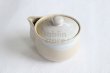 Photo4: Hagi ware Japanese tea pot kyusu pottery tea strainer himedo hohin 200ml (4)