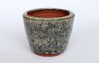 Photo2: Tokoname Bonsai pot garden tree Japanese pottery oval Yozan Eimei namako D94mm (2)