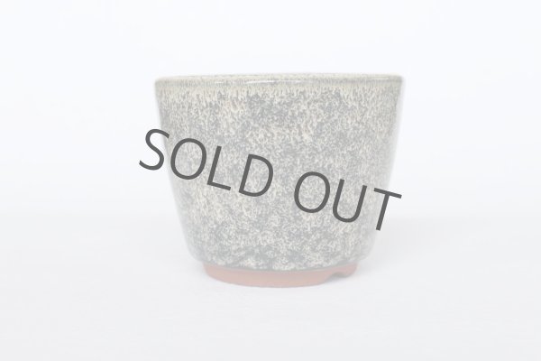 Photo8: Tokoname Bonsai pot garden tree Japanese pottery oval Yozan Eimei namako D94mm (8)