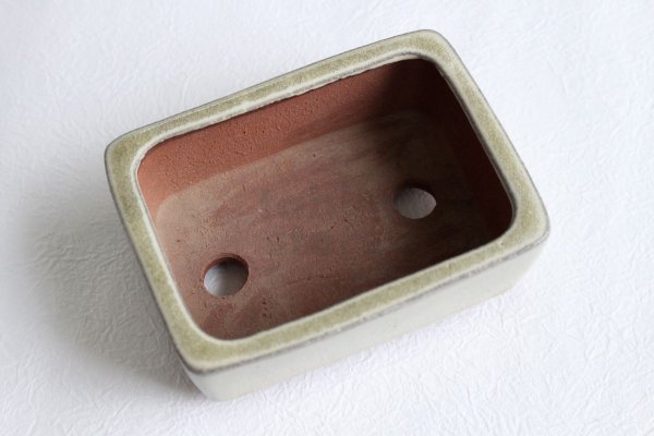 Photo6: Tokoname Bonsai pot garden tree Japanese pottery Yozan Eimei shiro W110mm (6)