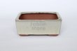 Photo1: Tokoname Bonsai pot garden tree Japanese pottery Yozan Eimei shiro W110mm (1)