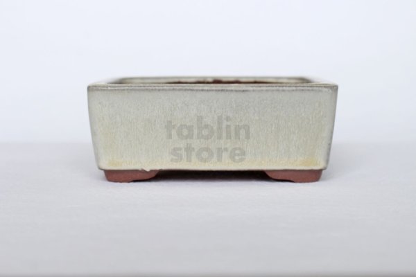 Photo3: Tokoname Bonsai pot garden tree Japanese pottery Yozan Eimei shiro W110mm (3)