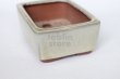 Photo2: Tokoname Bonsai pot garden tree Japanese pottery Yozan Eimei shiro W110mm (2)