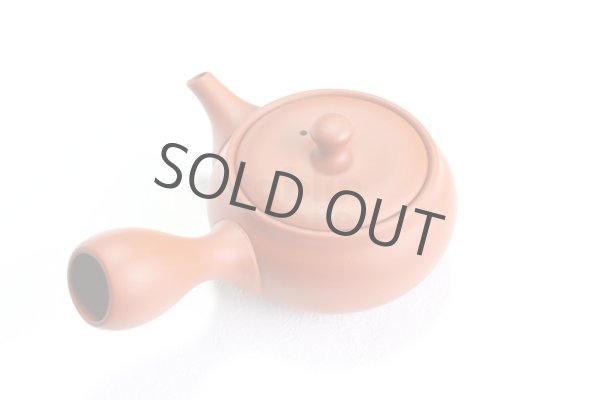 Photo10: Tokoname tea pot kyusu Jinsui Kiwami shudei red naka hira 270ml (10)