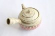 Photo9: Tokoname Japanese tea pot kyusu ceramic strainer Kenji nerikomi pink 280ml (9)