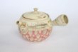 Photo5: Tokoname Japanese tea pot kyusu ceramic strainer Kenji nerikomi pink 280ml (5)