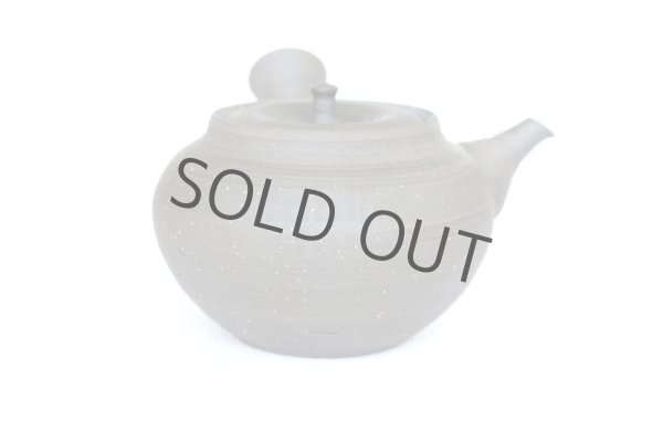 Photo3: Tokoname Kyusu Japanese tea pot yakishime ellipsoidal Gafu Ito 240ml  (3)