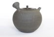 Photo6: Tokoname Kyusu Japanese tea pot yakishime round Gafu Ito 220ml  (6)