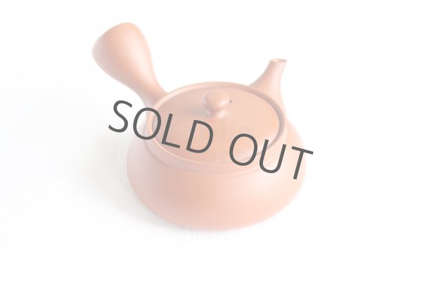 Photo11: Tokoname tea pot kyusu Jinsui Kiwami shudei red biku flat shape small 120ml (11)