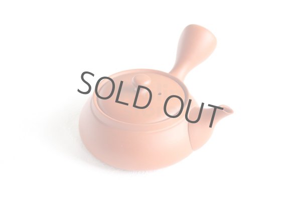 Photo10: Tokoname tea pot kyusu Jinsui Kiwami shudei red biku flat shape small 120ml (10)