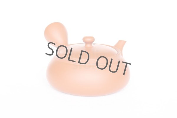 Photo8: Tokoname tea pot kyusu Jinsui Kiwami shudei red biku flat shape small 120ml (8)