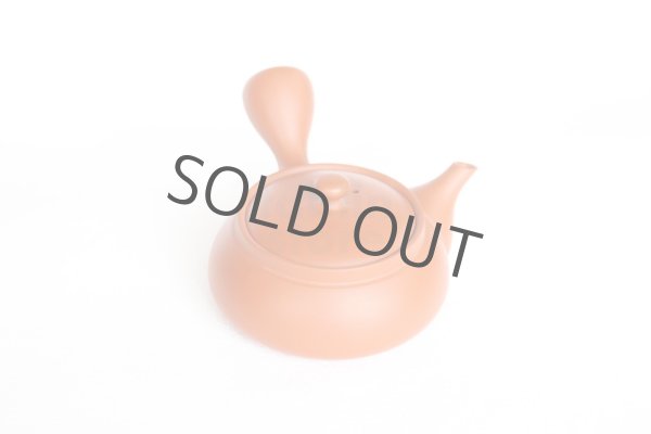 Photo6: Tokoname tea pot kyusu Jinsui Kiwami shudei red biku flat shape small 120ml (6)