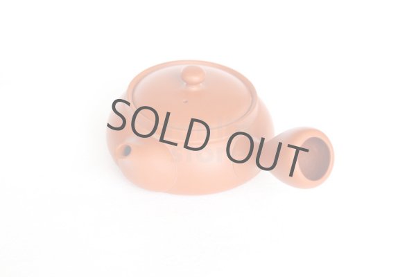 Photo5: Tokoname tea pot kyusu Jinsui Kiwami shudei red biku flat shape small 120ml (5)